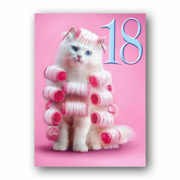 Funny Cat 18th Birthday Card - Curl Power by Avanti Ref Eb168 for sale