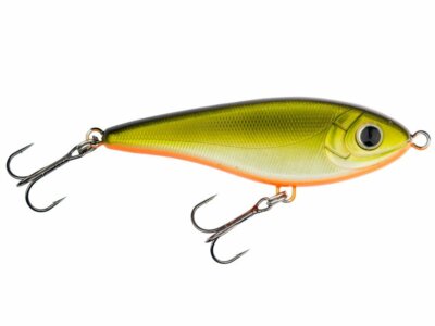beginner fishing pole reddit Beginner Fishing Setup: A Complete Guide for 2026