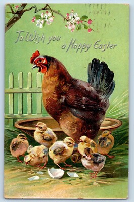 Easter Postcard Chicken Hen Little Chicks Hatched Egg Flowers Tuck 1909 Antique