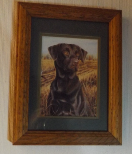Vintage artwork Michael Steddum Chocolate Lab Brandy oak frame Print 8 1/4 x 6 - Picture 4 of 6
