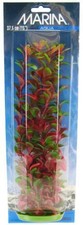 Aquarium, Marina Red Ludwigia Plant 15" Tall 