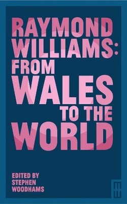 Raymond Williams: From Wales to the World by Stephen Woodhams Paperback Book