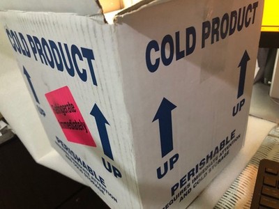 Styrofoam Insulated Medical Cooler 10''Hx9''Lx11''WwShipping Box 2 Gel Ice PacksDR