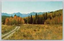 Vintage Photochrome Postcard Sawtooth National Forest Idaho Back Roads