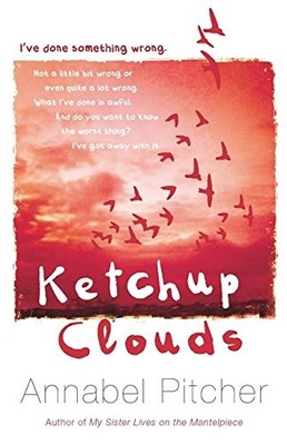 Ketchup Clouds,Annabel Pitcher