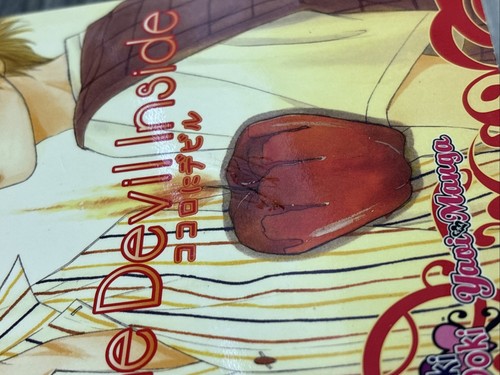 The Devil Inside (Yaoi Manga) by Rico Fukiyama Doki Doki Rated 16+ Young Adult - Picture 8 of 14