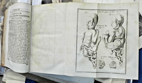 1742 - NORIMBERGA – ACCADEMIA FISICO-MEDICA VOLUME SESTO - Picture 5 of 11