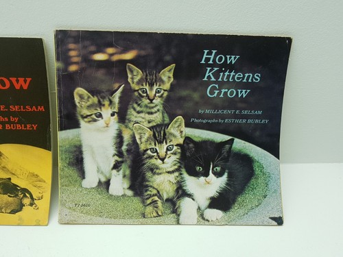 1970s Children's Books How Puppies Grow & How Kittens Grow Millicent E. Selsam - Imagen 2 de 19
