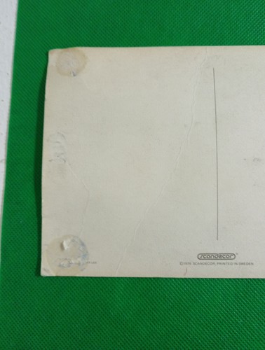 Scandecor Bruce Lee Post Card Printed In Sweden 1979 Vintage Rare Old - Foto 10 di 15