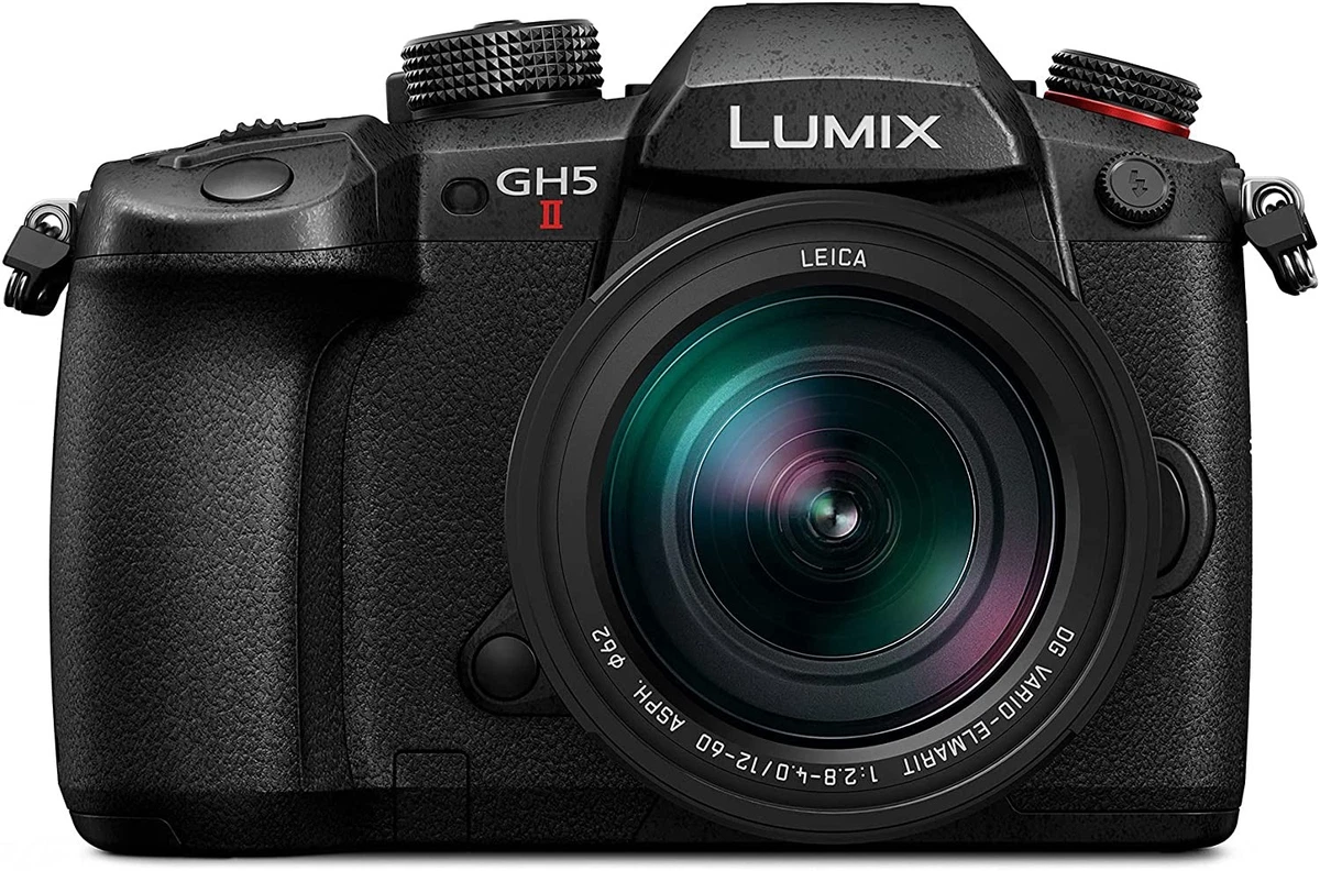 Panasonic LUMIX GH5 Digital Cameras for Sale | Shop New & Used