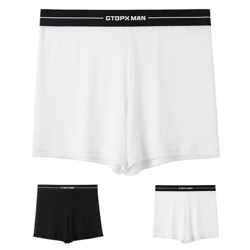 Stylish White Mesh Low Waist Boxer Briefs Underwear Lingerie Panties