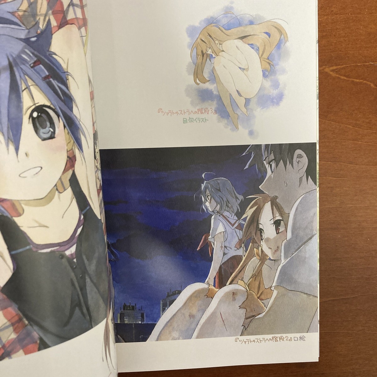 Shiromisakana Art Book Mahiru no Tsuki Yukiko Horiguchi