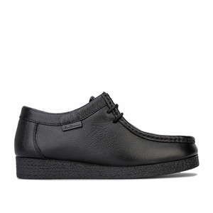 ben sherman quad shoes