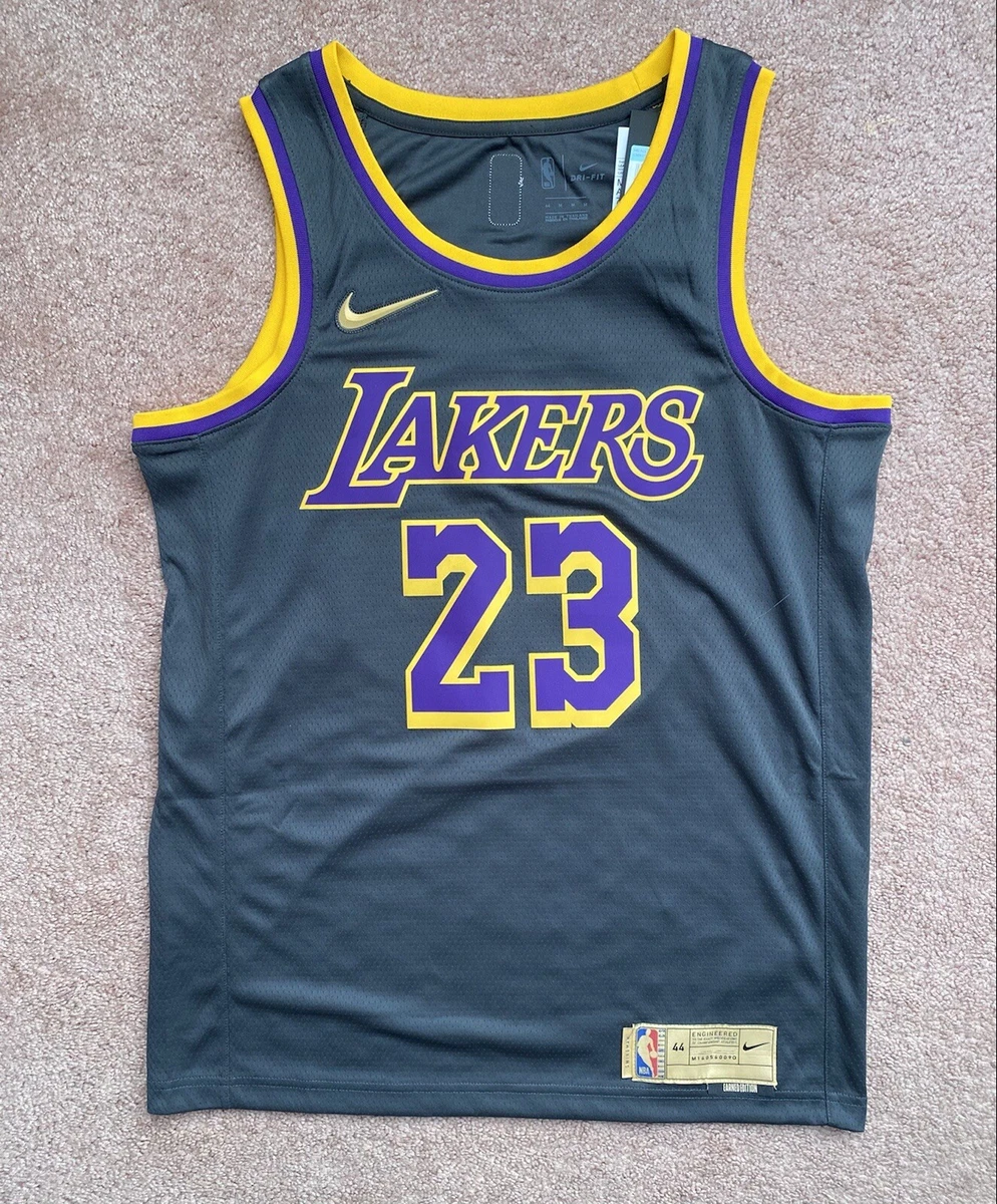 LeBron James Los Angeles Lakers Nike 2019/20 Authentic Player Jersey - City  Edition - Yellow