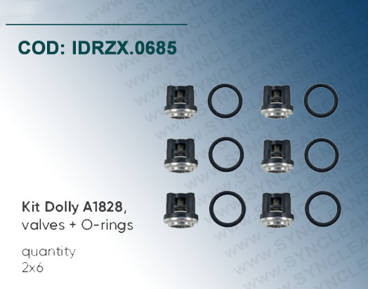 Kit Valvole Dolly A1828 ZX.0685 Idrobase per Annovi Reverberi RRV