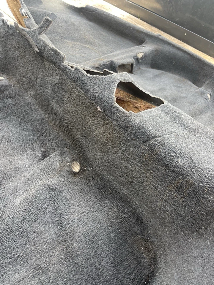 Alfombra interior cabina Lexus IS300 2001-2005 genuina piso principal negra OEM Foto 3 de 4