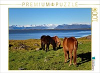 Calvendo Puzzle Islandpferde In Stokksnes | 1000 Teile Lege-GrößE 64 × 48 Cm Fot