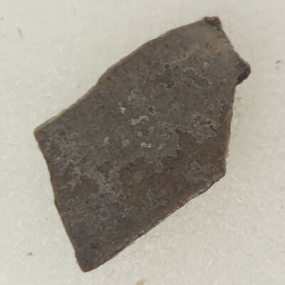 Unidentified Dinosaur Egg Shell Fossil (Orodromeus?) - Two Medicine Fm. - MT