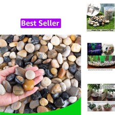 Pebbles for Plants 3 lb Natural Garden Decorative Stone Outdoor Aquariums Gra...