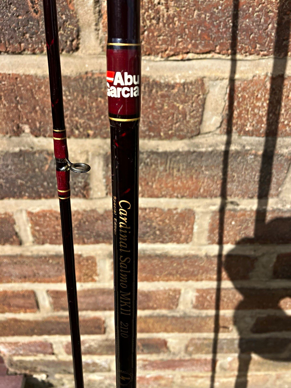 Abu Garcia Cardinal Salmo MKII 2110 2pc Spinning Rod, Carbon/Cork, Bag