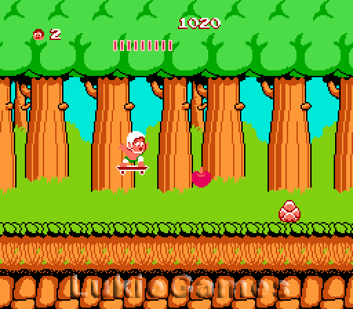 Imagen 5 de 8