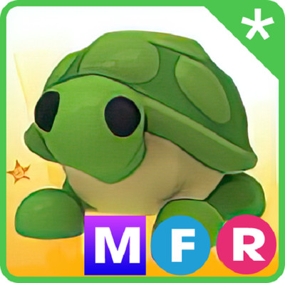 MFR Turtle - Cheap & Trusted Store!!