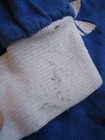 Bild 7 von 12