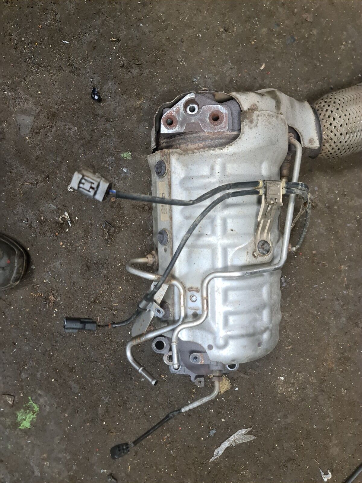 Picture 5 of 13