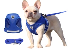 Pets Puppy Kitten Clothes Adjustable Vest Cat Walking Jacket Harness and Leash