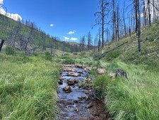 WONDERFUL 20 Acre Mining Claim Grand County Colorado Kaufman Creek GOLD FOSSILS