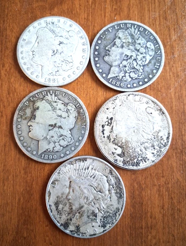 Lot of 5 Silver Dollars