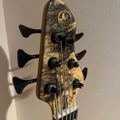 ベース Phoenix/PHS-6 SC Buckeye Burl Phoenix PHS-6 SC Buckeye Burl Electric Bass Guitar | eBay