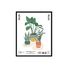 Mainstays , 16x20 Picture Frame , Black Flat Profile Wall Photo Frame.