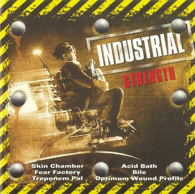 CD Industrial Strength Various Disky