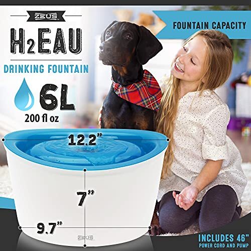 elevated pet water fountain