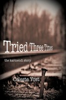 Celeste Yost | Tried Three Times | Taschenbuch | Englisch (2011) | AuthorHouse