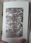 Picture 4 of 4