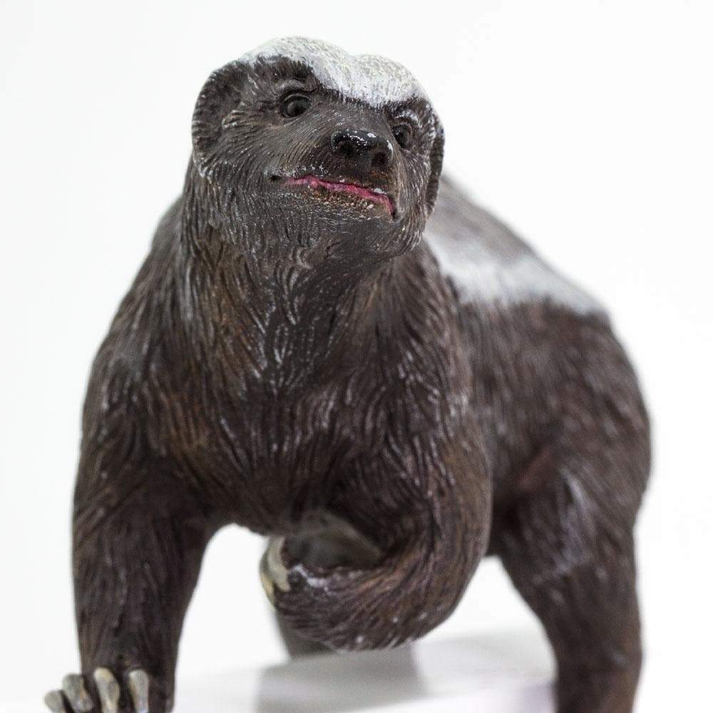 ボール HONEY BUDGER ABSオンライン ボール：HONEY BADGER EXTREME 2024