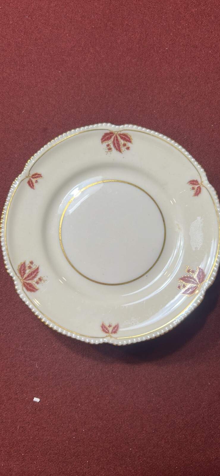 CASTLETON CHINA - JUBILEE - FINE PORCELAIN SALAD PLATES - SET OF 6