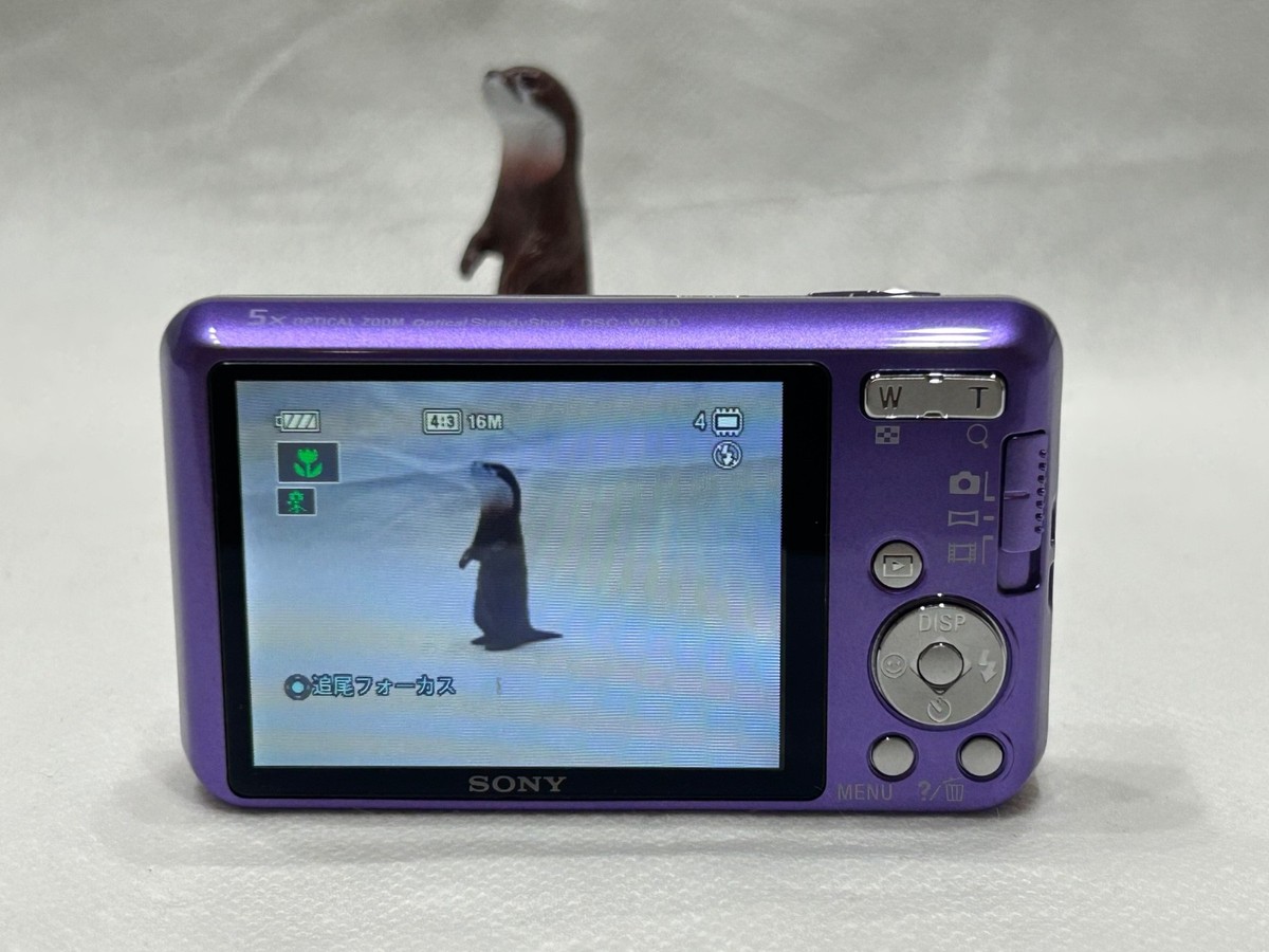 ソニー SONY Cyber-Shot DSC-W630 デジタルカメラ DSC-W630 | デジタルスチルカメラ Cyber-shot サイバーショット
