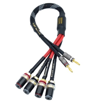 Amplifier Connection Dual Speaker Cable Crossover 2 out of 4 Banana Head Female