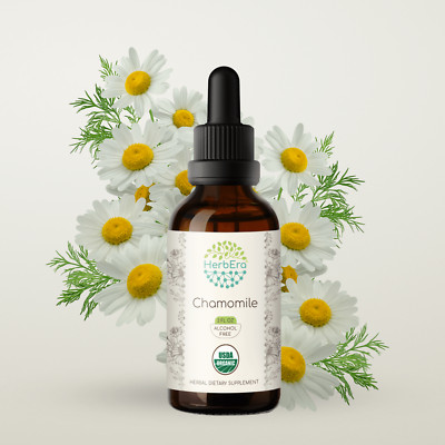 HerbEra Chamomile Alcohol-FREE Tincture Organic (Matricaria Recutita)