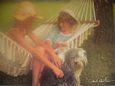 Carte Postale   DAVID  HAMILTON   Format