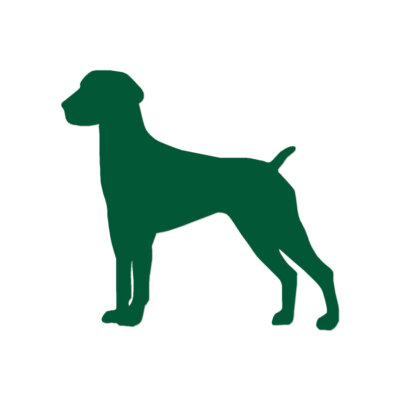 German Shorthaired Pointer Dog - Decal - Multiple Color & Sizes - ebn1960