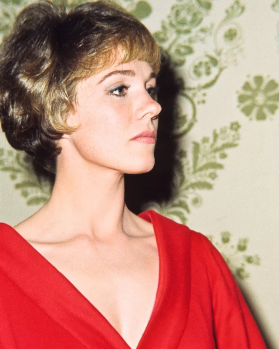 Julie andrews 1960