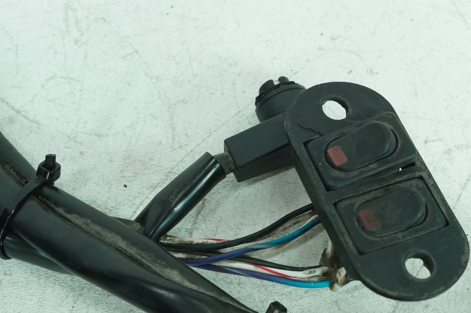 Harley Touring Electra Classic 2001 fabricante de equipos originales carenado interior cableado arnés interruptor Foto 2 de 4