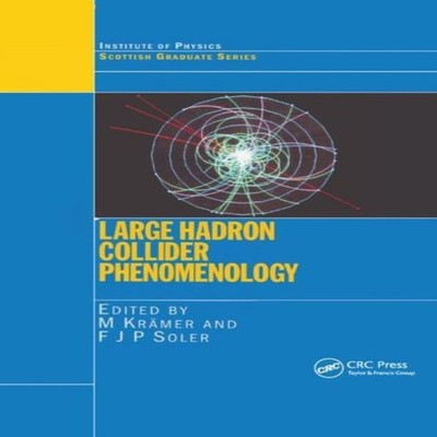 Large Hadron Collider Phenomenology Taylor Francis Ltd (Sales) Pa