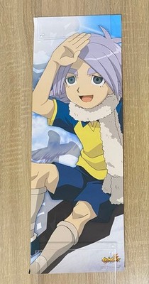 Inazuma Eleven Character Poss Shawn Frosteu