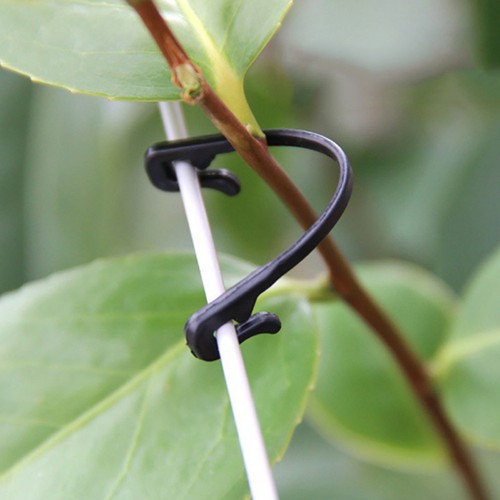 50 Pcs Vine Tie Buckle Binding Clip Garden Clips for Climbing Plants Tied - Afbeelding 11 van 11