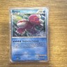 Pokémon Kyogre 100 HP Shiny Holo Rare Holo SL6 Call of Legends English 2011